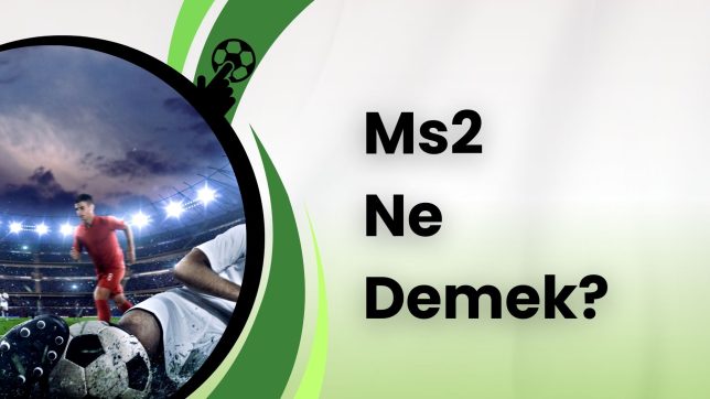 Ms2 Ne Demek