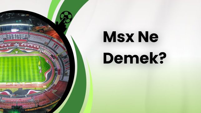 Msx Ne Demek